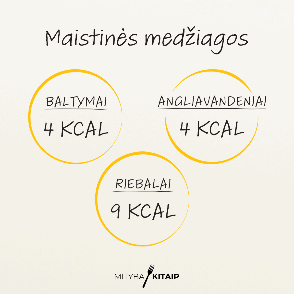 maistines-medziagos Maistinės medžiagos: baltymai, angliavandeniai ir riebalai.